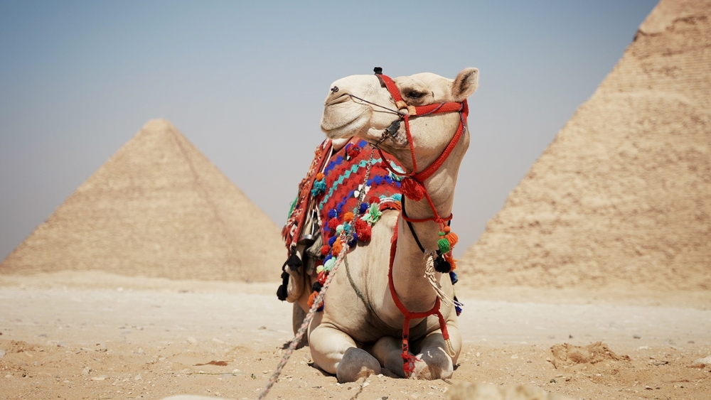 Best Egypt Tours - Pyramids of Giza Tour Best Egypt Tours - Pyramids of Giza Tour