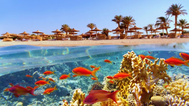 Best Places To Visit In Egypt 2026 Where To Go What To See best-places-to-visit-in-egypt-2026-where-to-go-what-to-see